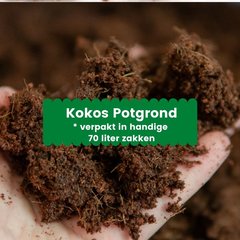 Kokos Potgrond