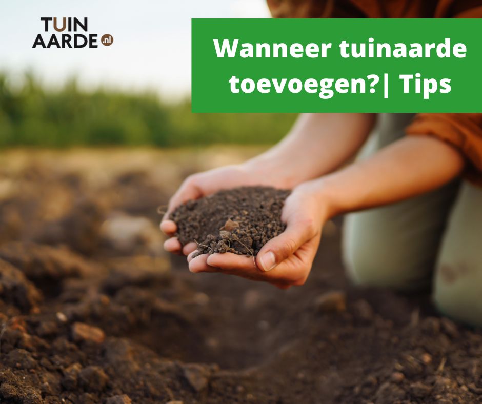 De beste tijd om tuinaarde toe te voegen aan uw tuin | Tips