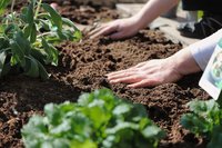Tuinaarde kopen op Tuinaarde.nl | Voordelen & Reviews