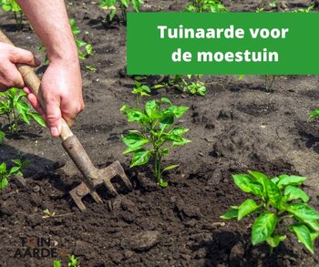 Welke tuinaarde is geschikt voor de moestuin?